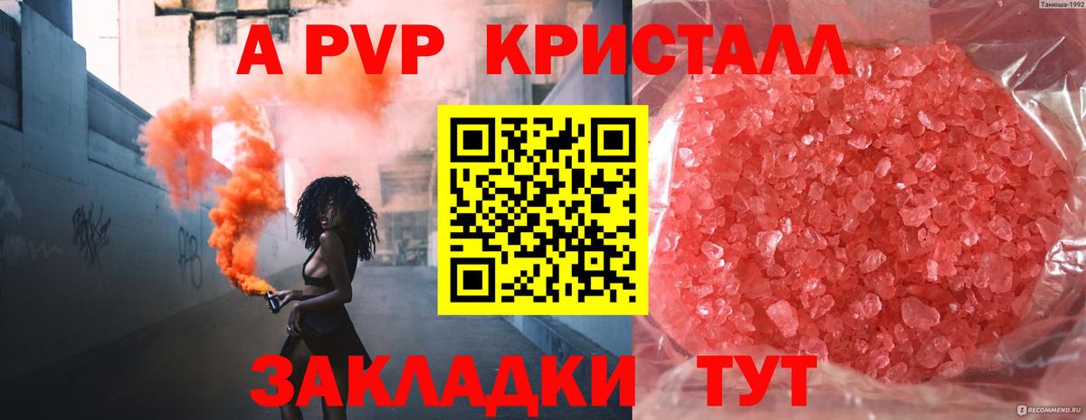 Альфа ПВП СК КРИС  Альфа ПВП крисы CK  Вход с VPN  Сосновый Бор 