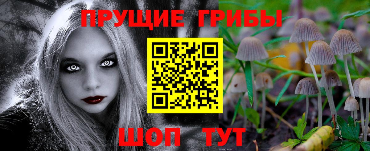 Сосновый Бор  Галлюциногенные грибы ЛСД  Вход с VPN 